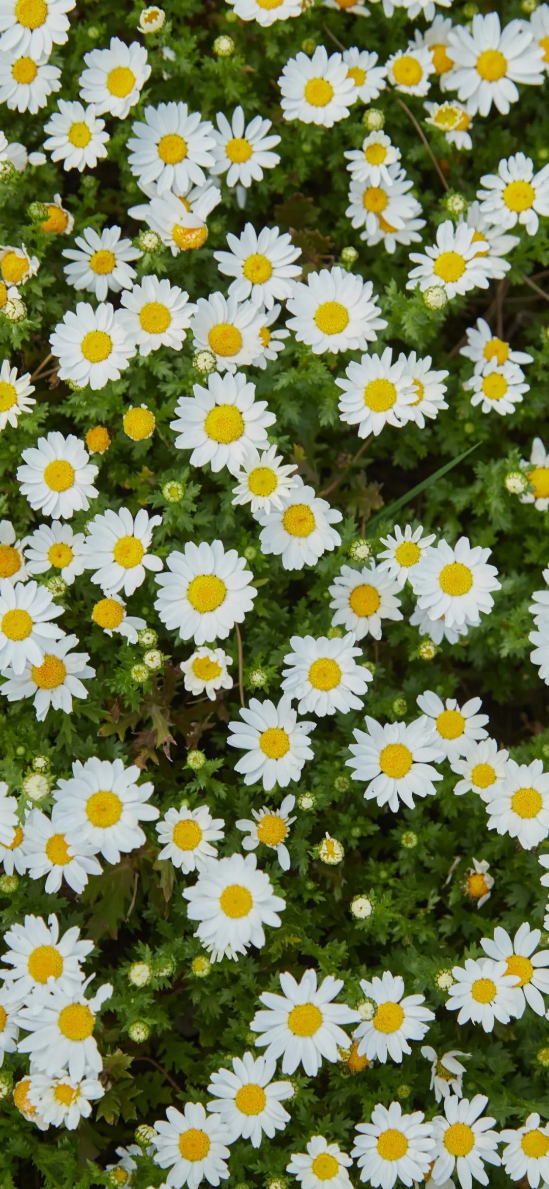 广西河池的中职学校有哪些-比较出名的技工学校有哪些-比较出名的中专学校