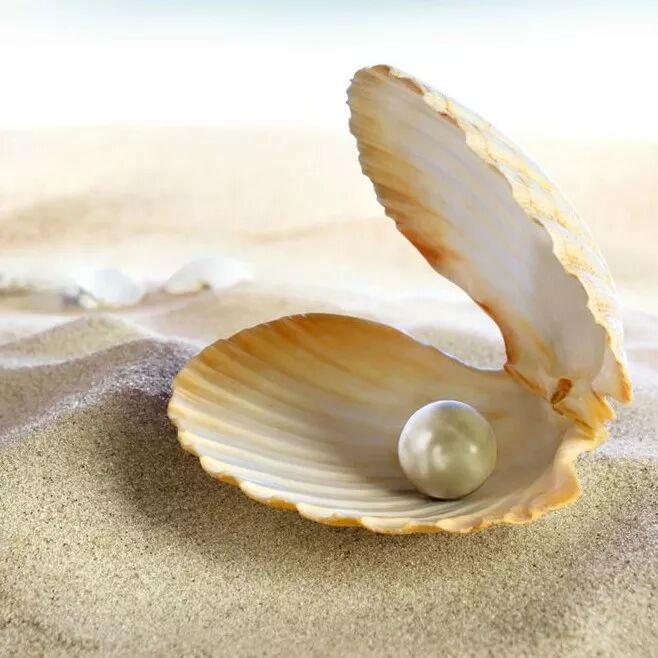 浙江球场施工,浙江球场工程,浙江体育场工程