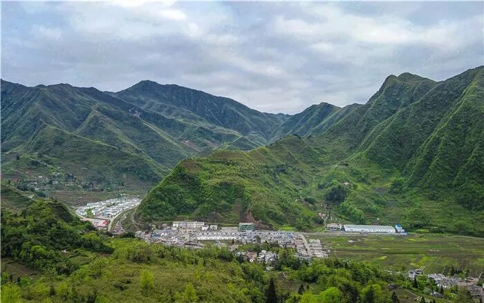 昭通：大山深处采笋人的苦与乐（图）(图16)