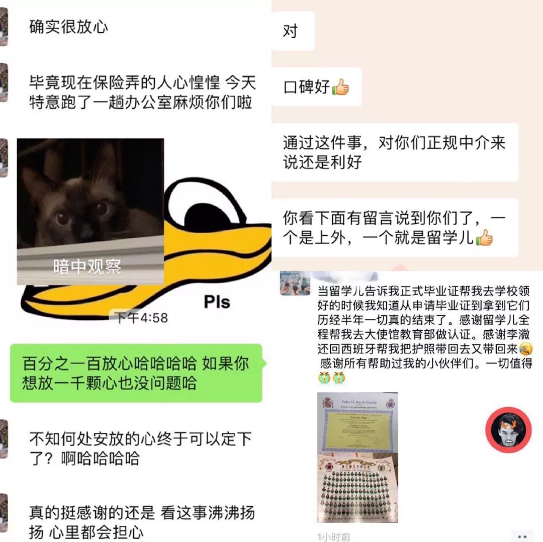 留学鹅 | 留学通过中介还是靠自己? 留学鹅 | 留学通过中介还是靠自己?