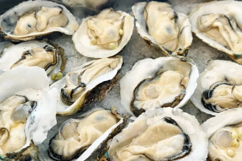 湛江生蚝。图片来源于网络