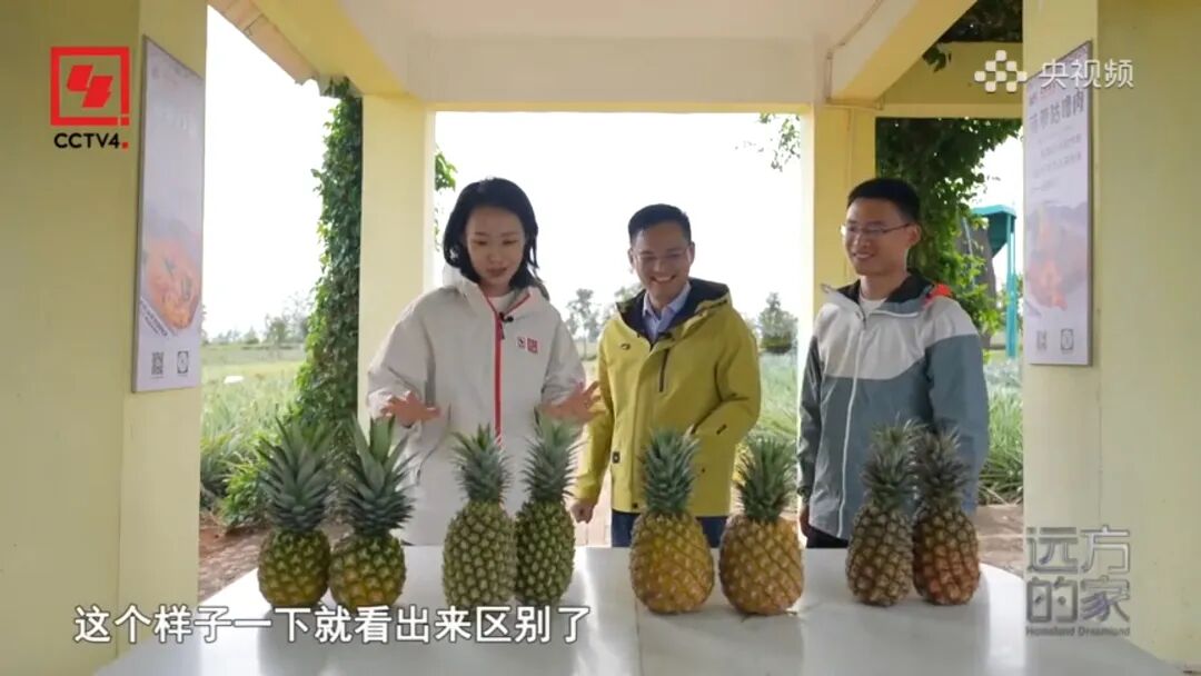 5月1日(11).jpg