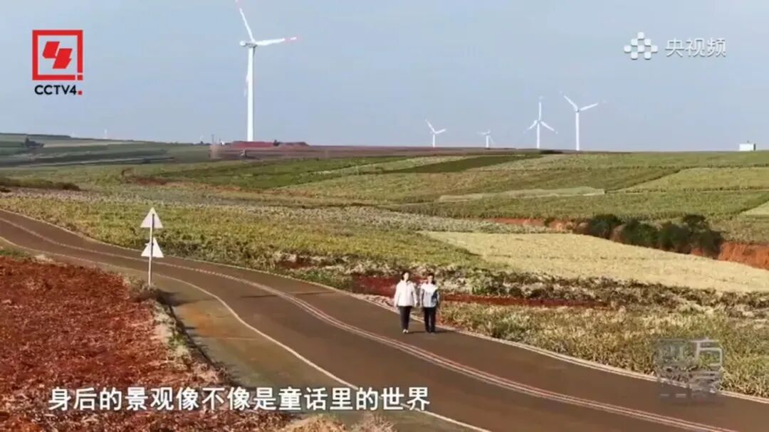 5月1日(12).jpg