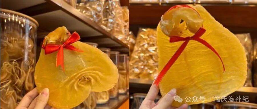 花胶。来源：儒庆滋补纪