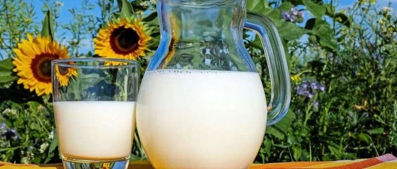 植物和动物蛋白质摄入量与总体死亡率和死因特异性死亡率的关系