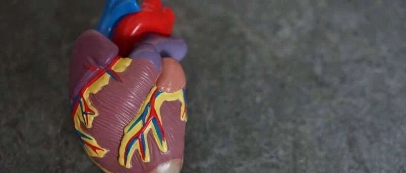 心脏康复并不总是有助于心脏健康，但小的改变可以使它成功