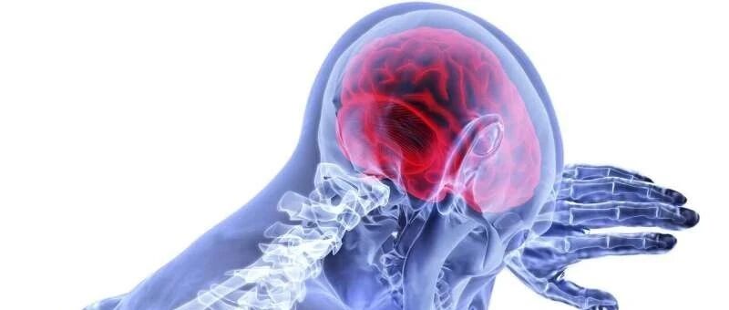 心脏结构可能在黑人和白人中风风险差异中起作用