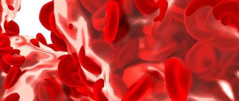 TMAO造成健康者血管老化和内皮功能障碍