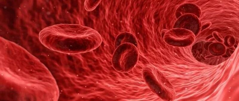 独立的D-二聚体检测策略可以简化深静脉血栓的诊断