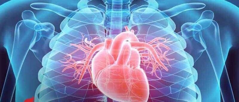 提高免疫力的癌症治疗可能带来心血管风险