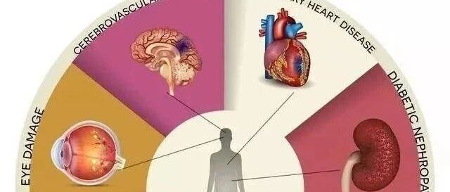 脂质、炎症和代谢生物标志物与女性早发冠心病密切相关