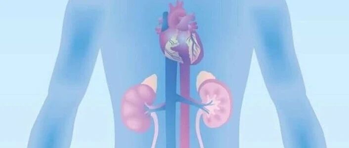 糖尿病、肾病和高血压之间的联系