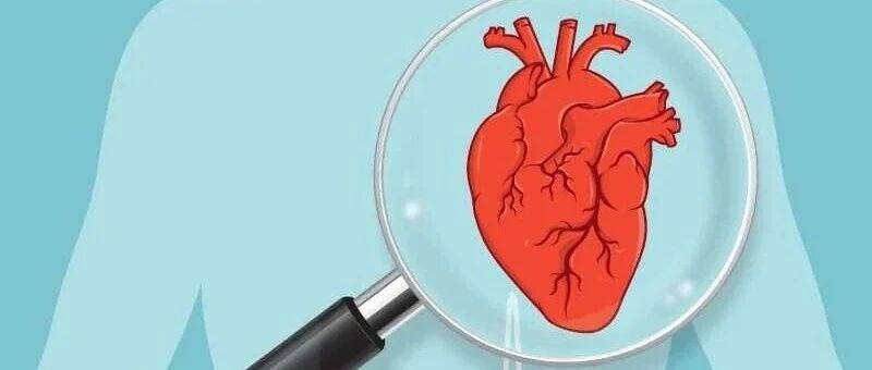 预防心脏病可以在出生前开始