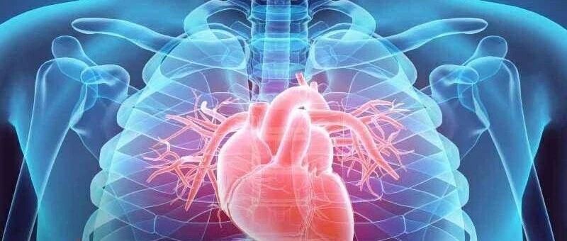 供体重度肥胖与心脏移植结局