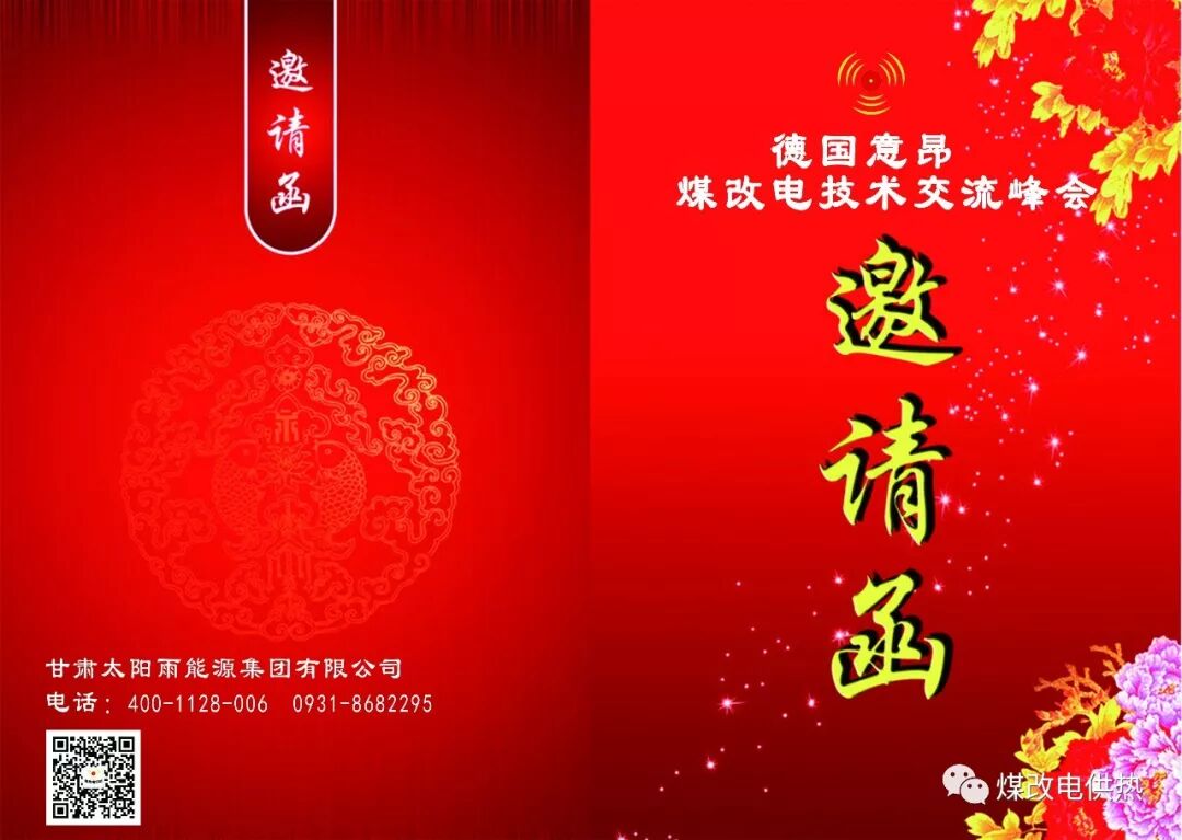 德國意昂煤改電技術交流峰會|企業動態-甘肅太陽雨能源集團有限公司