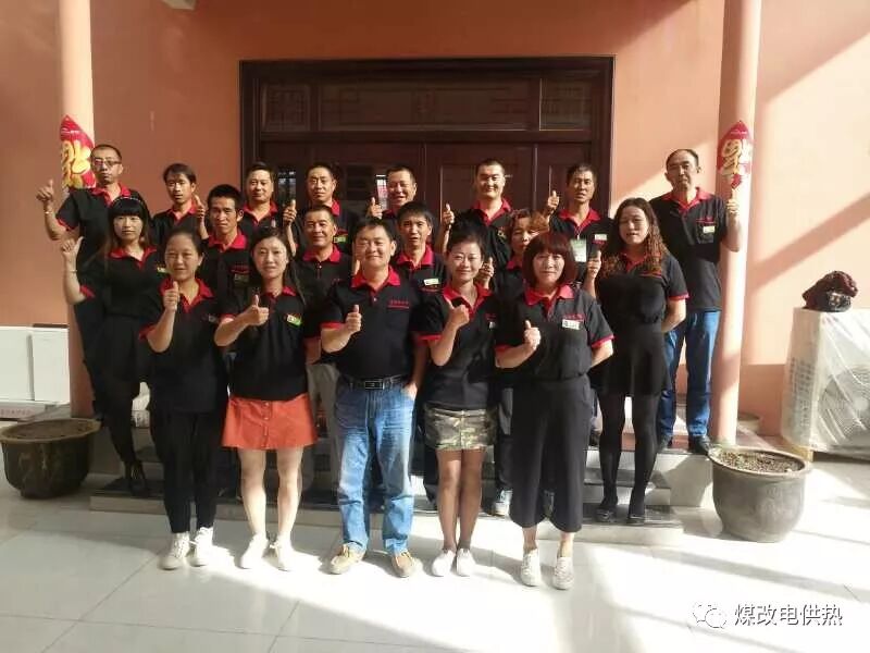 德國意昂煤改電技術交流峰會|企業動態-甘肅太陽雨能源集團有限公司