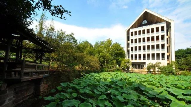 四川美术学院录取分_四川美术学院分数线_四川美术艺术学院分数线