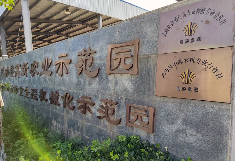 武功县高新农业示范园(海鋈皇嘉种植专业合作社)海鋈皇嘉金银花种植