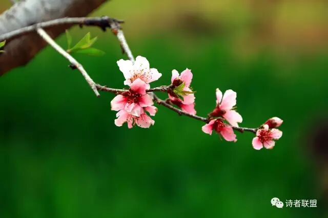 640?wx_fmt=jpeg&tp=webp&wxfrom=5&wx_lazy=1