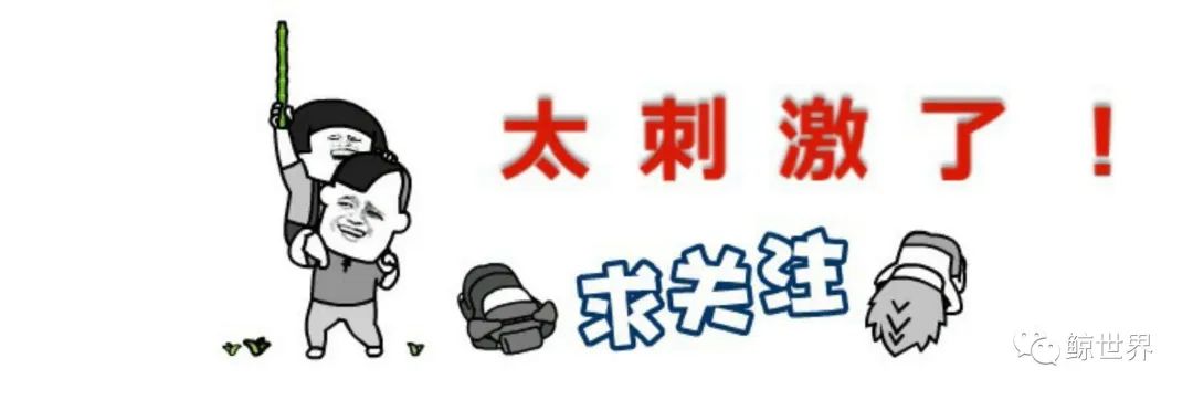 和平精英手游断殇绘制1.0上市辅助破解版(图2)