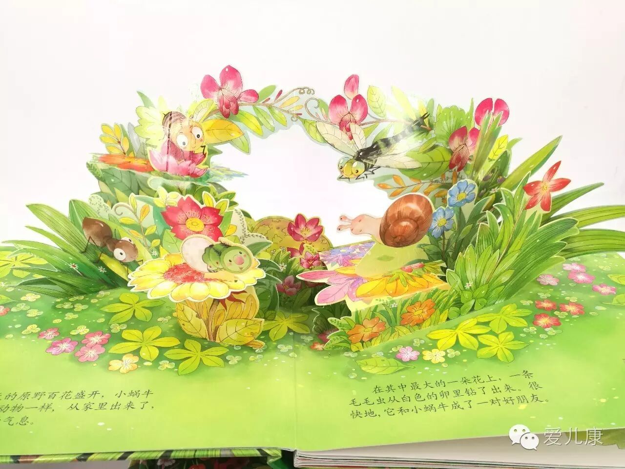 虽然主线故事讲述的是毛毛虫变成蝴蝶的故事,但是在绘本中很多小翻页