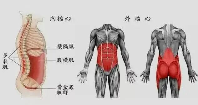 悬吊训练系统 怎么装悬吊训练疗法（SET）如何应用在脑损伤患者中，你知道吗？_https://www.jmylbn.com_新闻资讯_第10张
