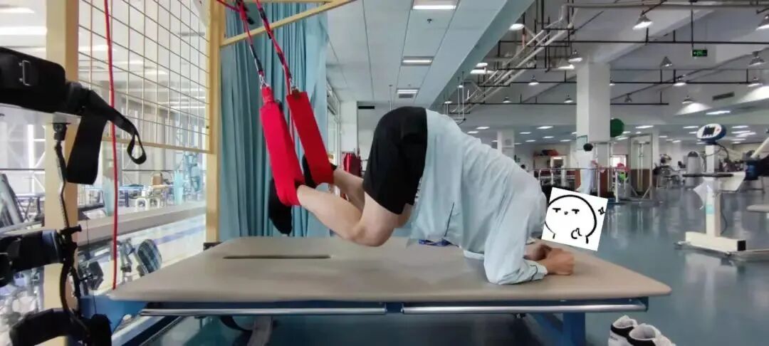 悬吊训练系统 怎么装悬吊训练疗法（SET）如何应用在脑损伤患者中，你知道吗？_https://www.jmylbn.com_新闻资讯_第11张