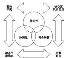 悬吊训练系统 怎么装悬吊训练疗法（SET）如何应用在脑损伤患者中，你知道吗？_https://www.jmylbn.com_新闻资讯_第6张