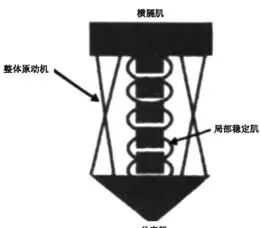 悬吊训练系统 怎么装悬吊训练疗法（SET）如何应用在脑损伤患者中，你知道吗？_https://www.jmylbn.com_新闻资讯_第5张