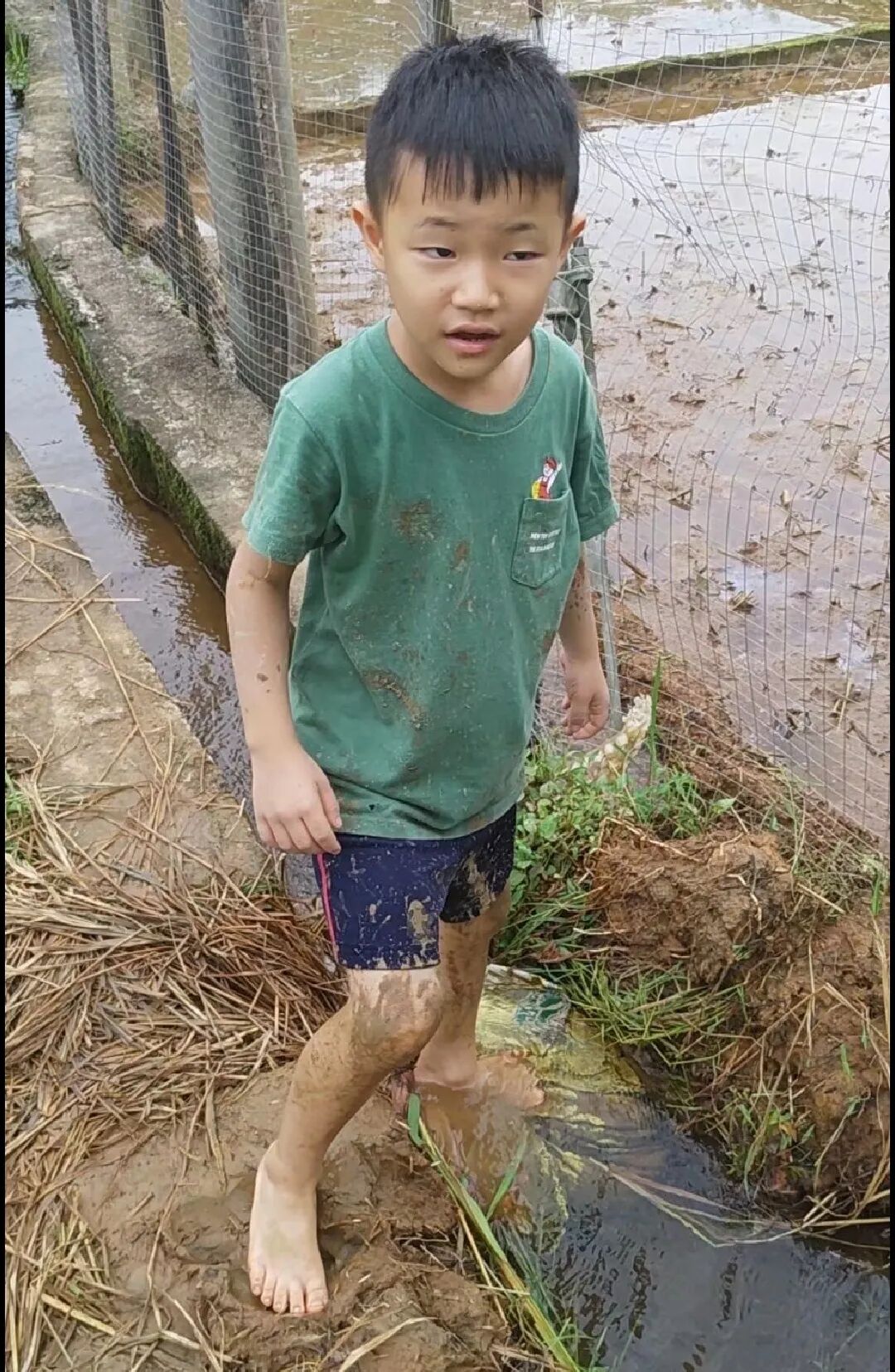 乡下生活体验记（修改稿）