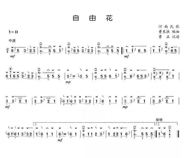 古筝演奏一级 自由花 古筝课 微信公众号文章阅读 Wemp