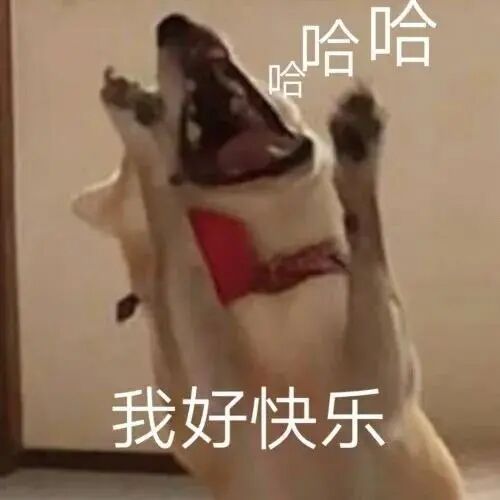 【爆笑】拯救不开心！20张朋友圈最爆笑动图，每一帧都在散发快乐的魔力，哈哈哈哈哈（组图） - 26