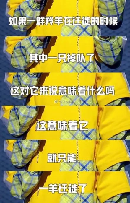 00后挚爱的谐音梗：“老虎为啥把狮子绿了？”“它有绿（律）狮（师）资格证！”哈哈哈哈哈哈哈 ｜ 共同体