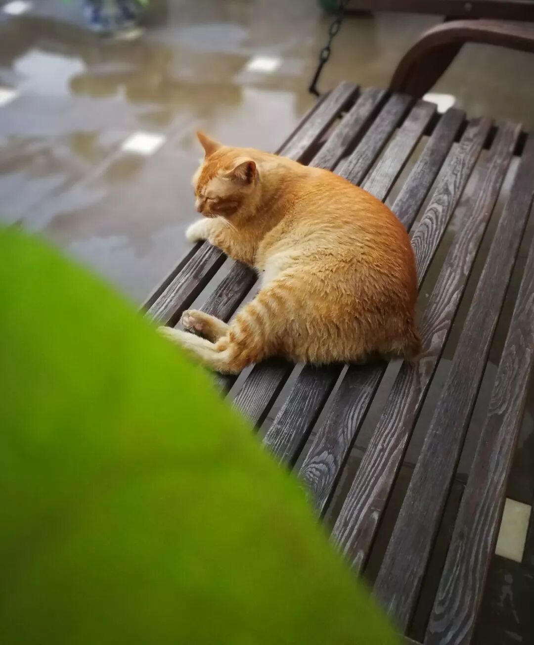 孩子终将独立，学会放下，就是对自己的余生负责