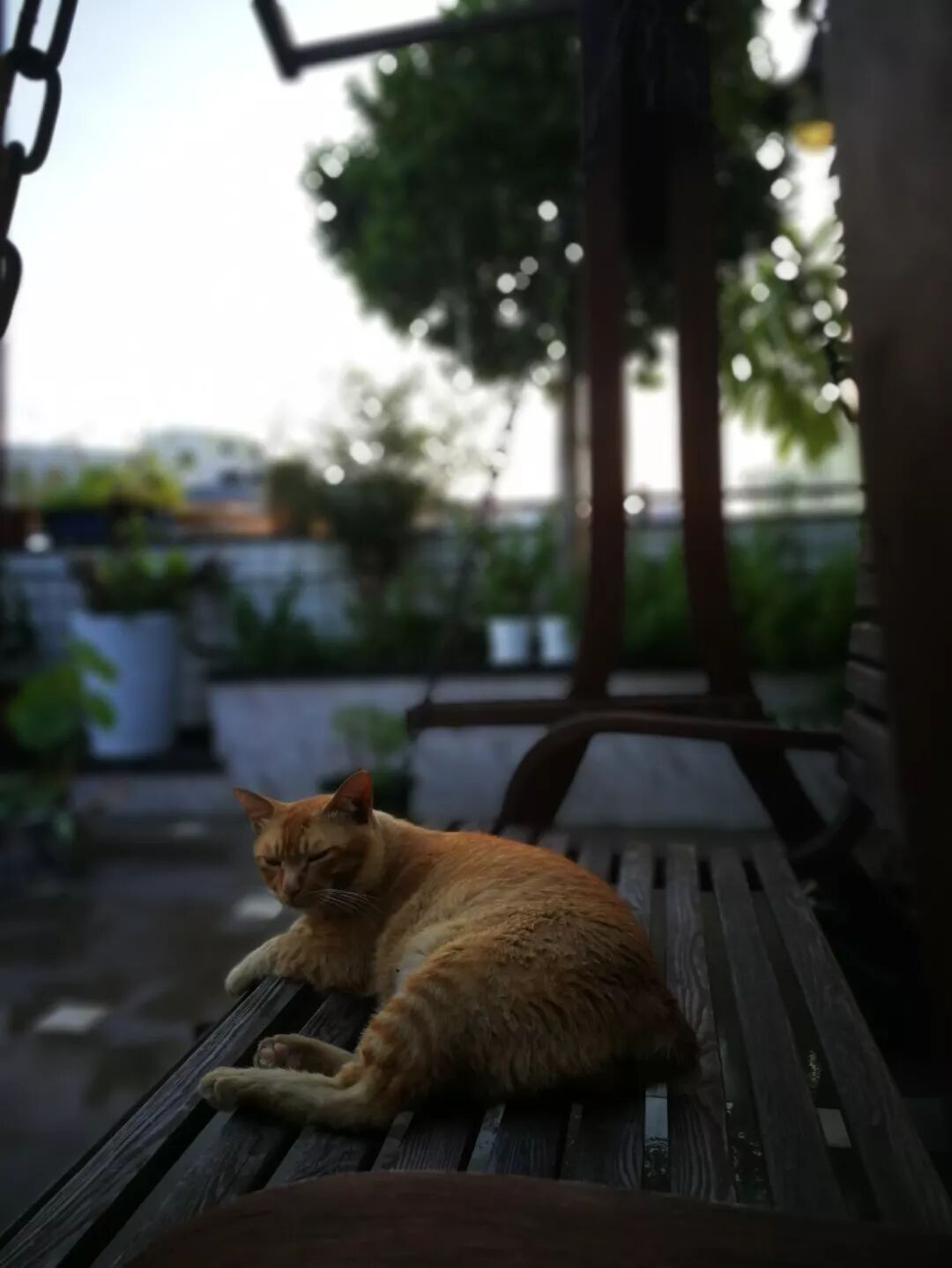 孩子终将独立，学会放下，就是对自己的余生负责