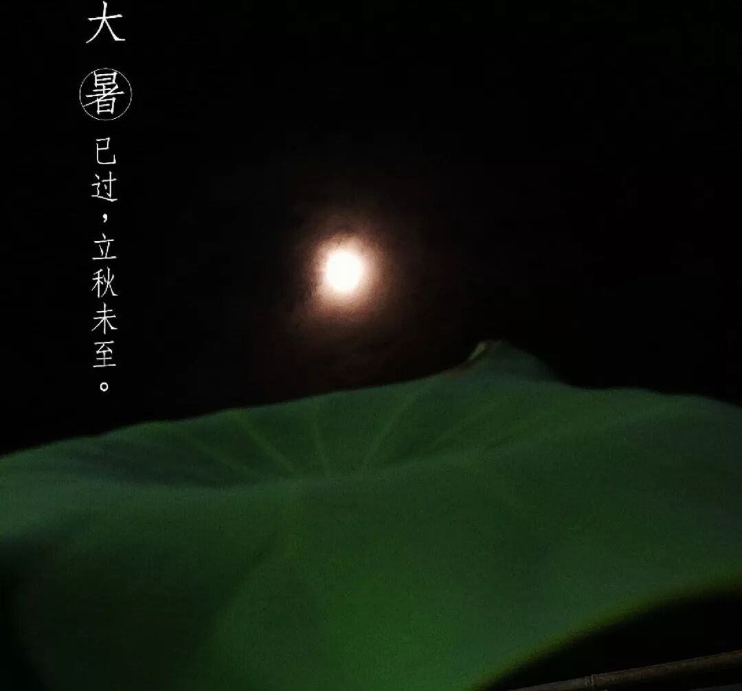 孩子终将独立，学会放下，就是对自己的余生负责