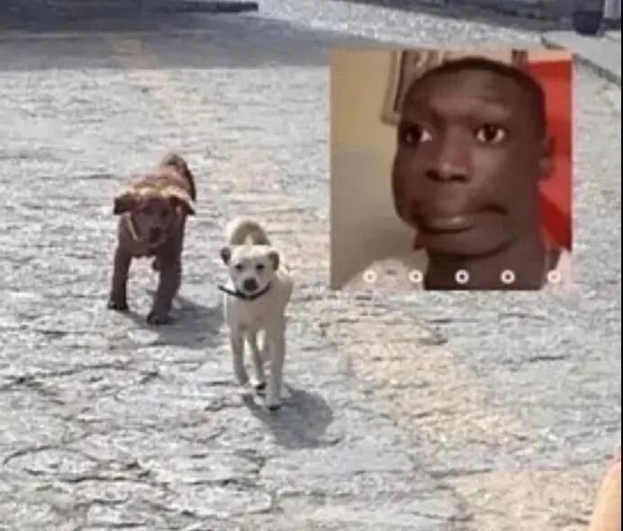 s型拉勾怎么拿开心一刻｜有一个问题困扰了我很多年：拉勾为什么要上吊？_https://www.jmylbn.com_新闻资讯_第40张