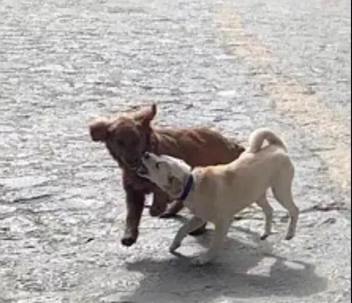 s型拉勾怎么拿开心一刻｜有一个问题困扰了我很多年：拉勾为什么要上吊？_https://www.jmylbn.com_新闻资讯_第37张