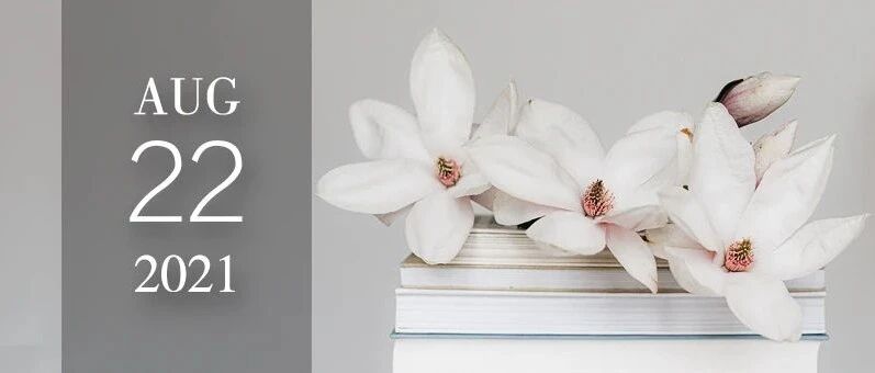 内在美 VS 外在美