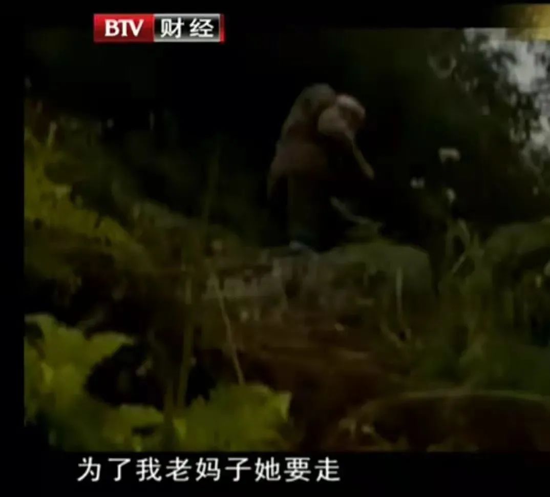 一对遭世俗反对的情侣，私奔后感动了全国