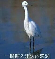 国产剧的迷惑英文名，可真是厉害死了！