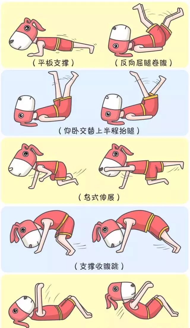 运动篇:给大家推荐了几个 针对腹部训练的动作,据说对啤酒肚非常有效