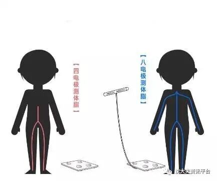 体脂率和体脂率区别_体脂率计算_体脂率在线计算器