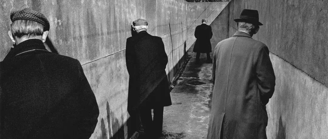 有知识而无良知，是一场灾难