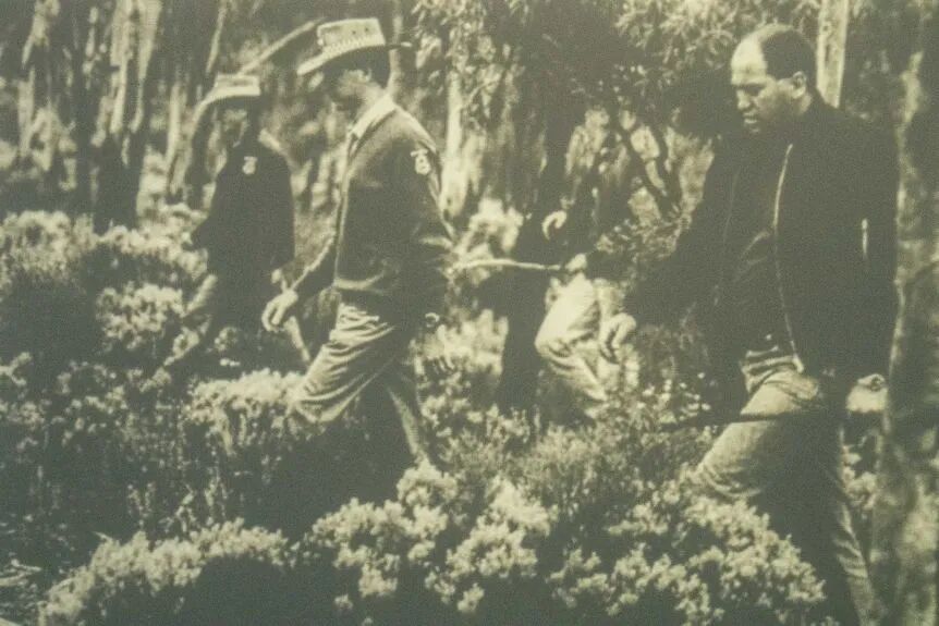 西澳这起著名的「婴儿谋杀案」发生新转折！继父被指控性侵当时只有13岁的孩子母亲... - 4