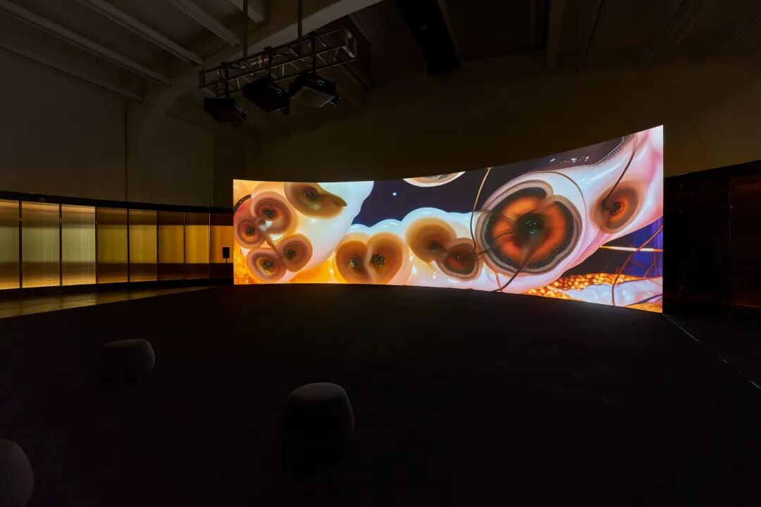 Anicka Yi_UCCA_Installation Views_09