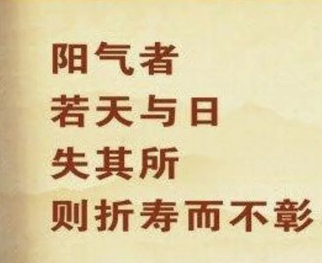 揭秘：晒太阳与长寿的关系-图片3