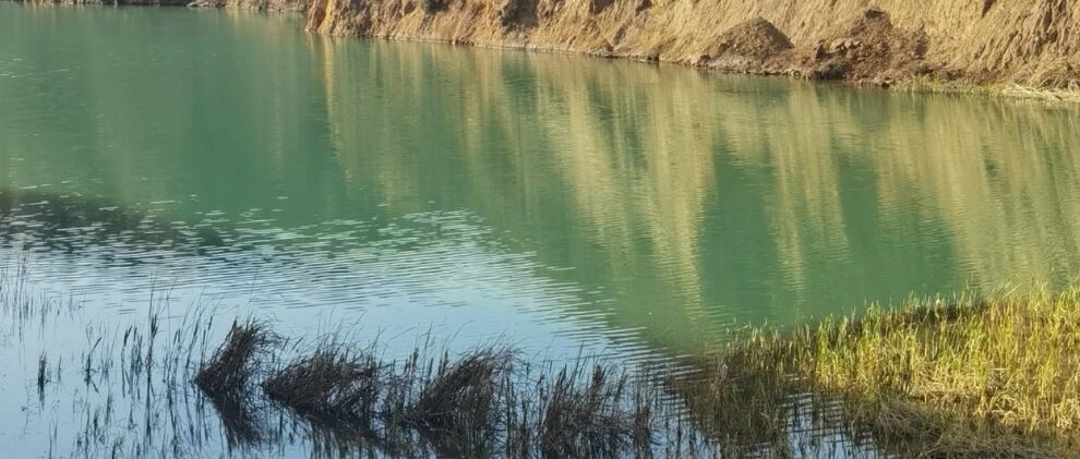 与春天有关的事物都明亮起来