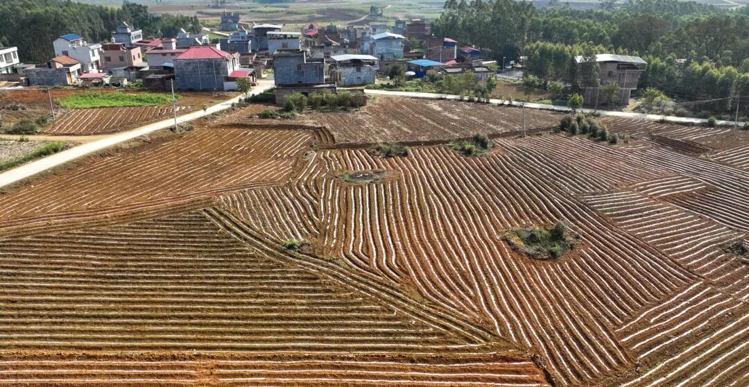 兴宾区积极推进土地开垦实干担当见成效