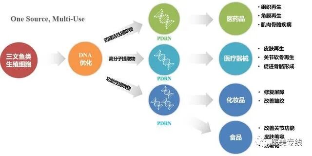 为什么有些针要避光水光伴侣——三文鱼水光针，原来好用的鱼有这么多_https://www.jmylbn.com_新闻资讯_第3张